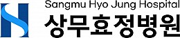 상무효정병원